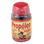 PROPOLEO-JALEA-350-GR-FRESHLY