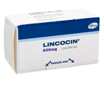 lincocin-600-mg-5-ampollas
